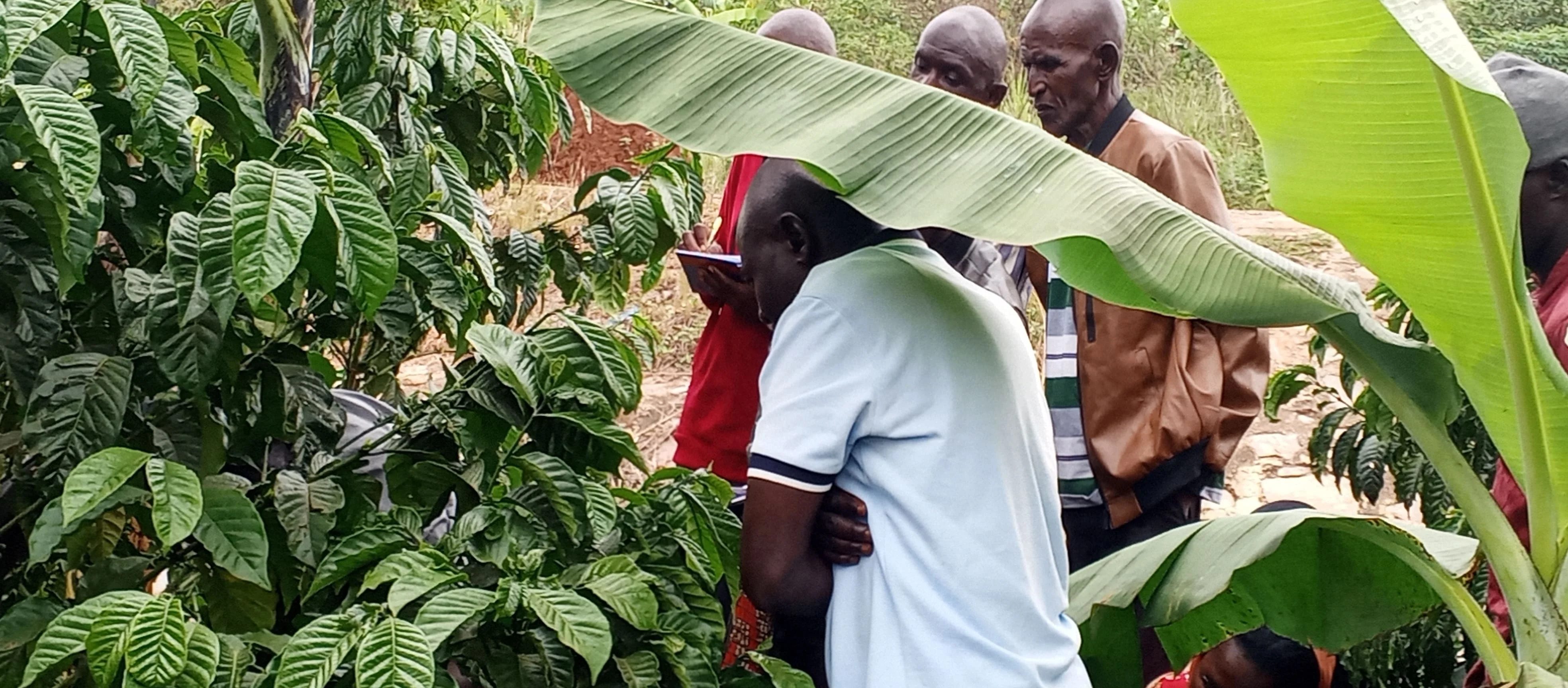 Hands-on Coffee Training